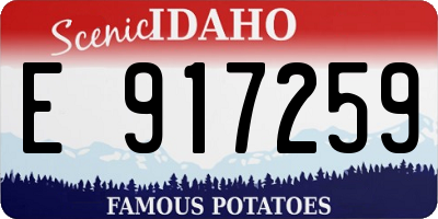 ID license plate E917259