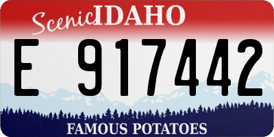 ID license plate E917442