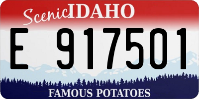 ID license plate E917501