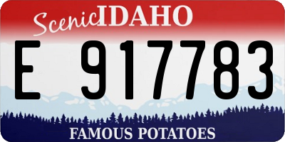ID license plate E917783