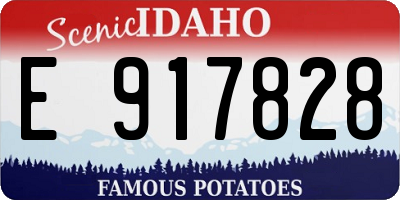 ID license plate E917828