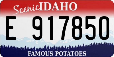 ID license plate E917850