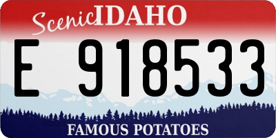ID license plate E918533