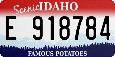 ID license plate E918784