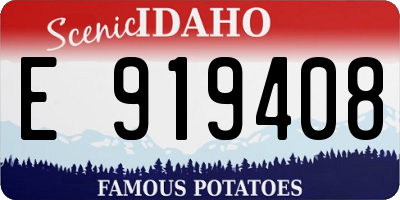 ID license plate E919408