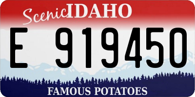 ID license plate E919450