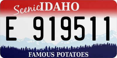 ID license plate E919511