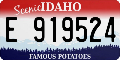 ID license plate E919524