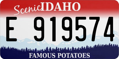 ID license plate E919574