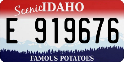 ID license plate E919676