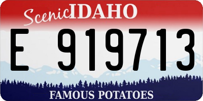 ID license plate E919713