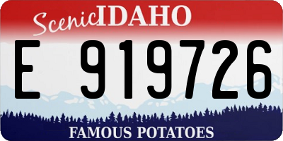 ID license plate E919726