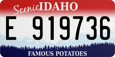 ID license plate E919736