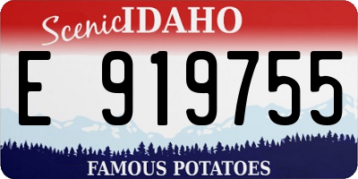 ID license plate E919755