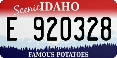 ID license plate E920328