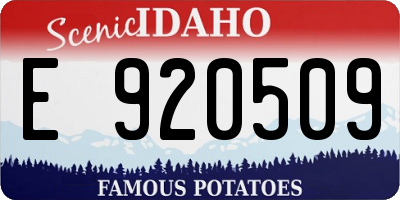 ID license plate E920509