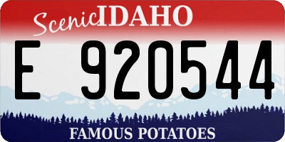 ID license plate E920544