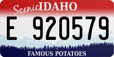 ID license plate E920579