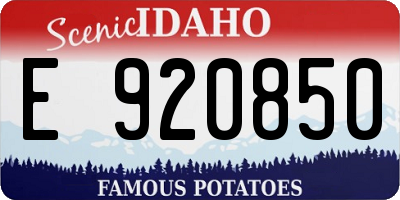 ID license plate E920850