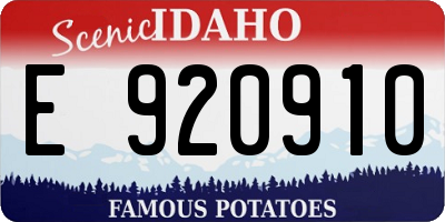 ID license plate E920910