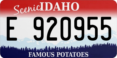 ID license plate E920955
