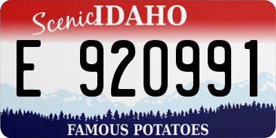 ID license plate E920991