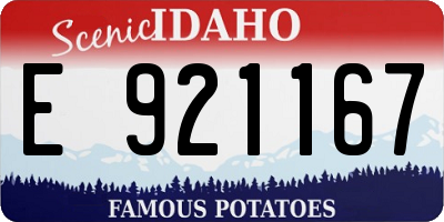 ID license plate E921167
