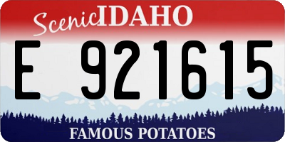 ID license plate E921615