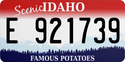 ID license plate E921739