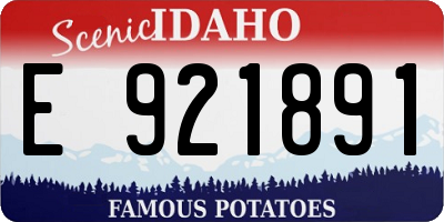 ID license plate E921891