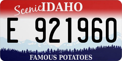 ID license plate E921960