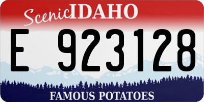 ID license plate E923128