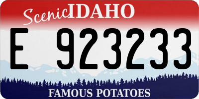 ID license plate E923233