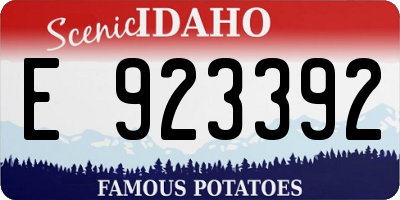 ID license plate E923392