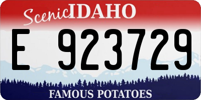 ID license plate E923729