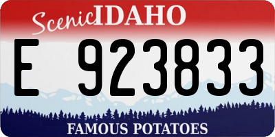 ID license plate E923833