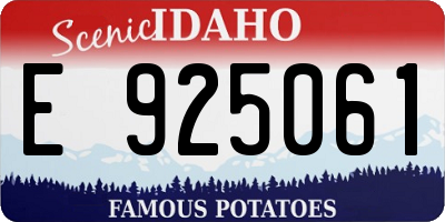 ID license plate E925061