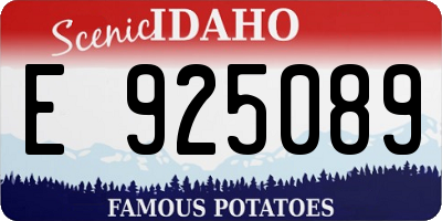 ID license plate E925089