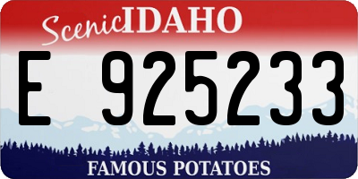 ID license plate E925233