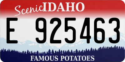 ID license plate E925463