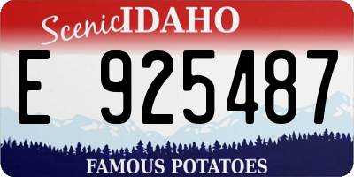 ID license plate E925487