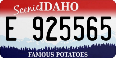 ID license plate E925565