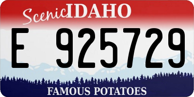 ID license plate E925729