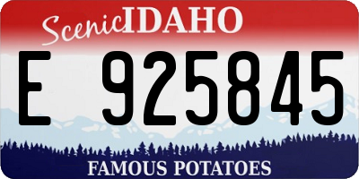 ID license plate E925845