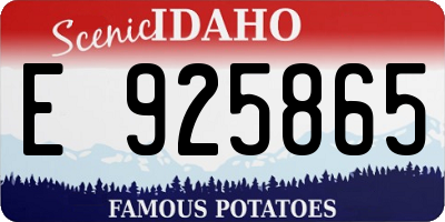 ID license plate E925865