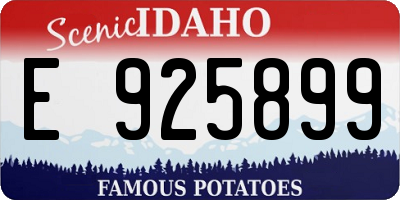 ID license plate E925899