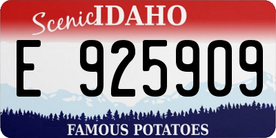 ID license plate E925909