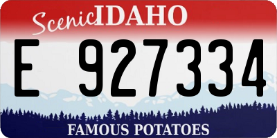 ID license plate E927334