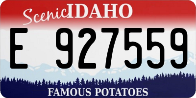 ID license plate E927559