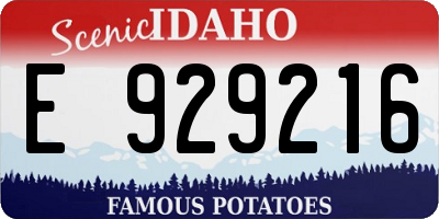 ID license plate E929216